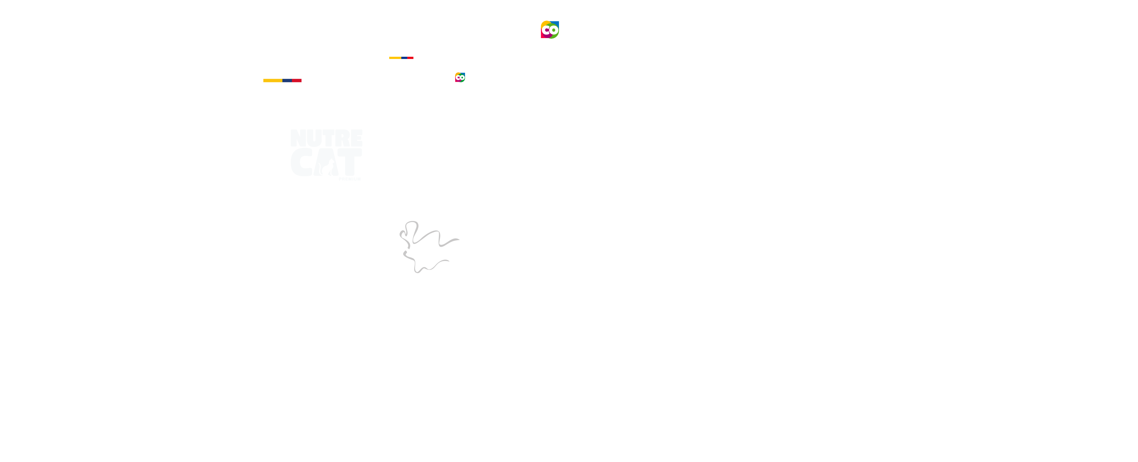 Patrocinadores y Aliados